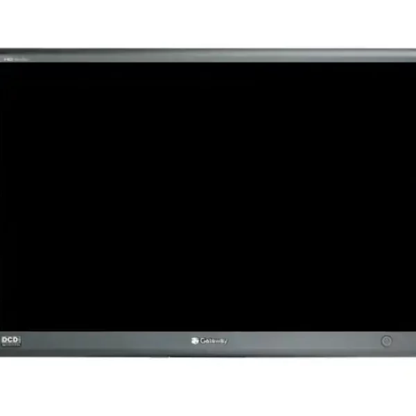 MONITOR 21" TFT GATEWAY 2100 BL MU NO BASE GA
